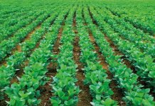 Parceria para o agronegócio