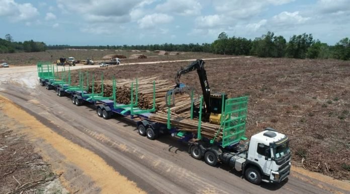 Unylaser tem aporte de R$ 600 mil para projeto florestal