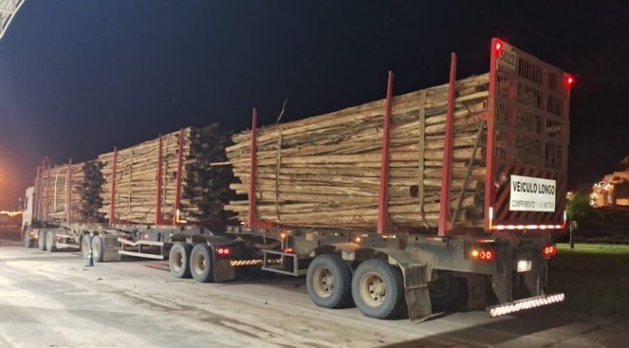 Veracel destaca cuidados com o transporte de madeira