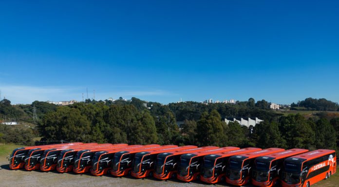 Viação Catedral renova frota com 100 novos ônibus