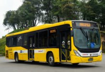 Marcopolo inicia entrega de modelos Torino para Viação Pioneira
