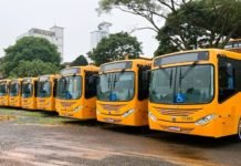 Auto Viação Chapecó renova frota