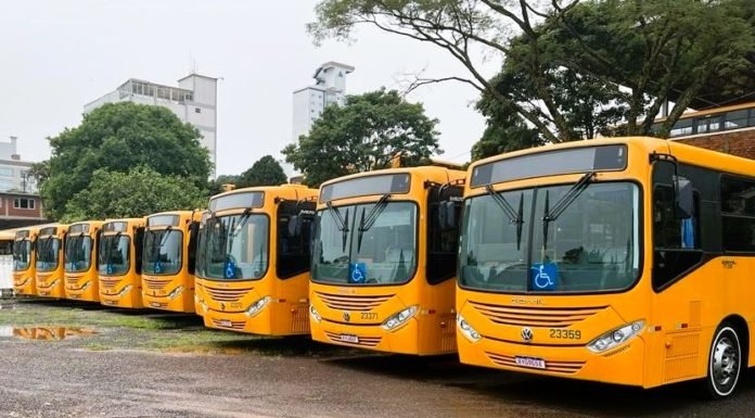 Auto Viação Chapecó renova frota