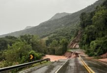 Transportadoras gaúchas precisam de apoio financeiro para a retomada