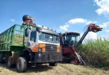 VAMOS aumenta frota de modelos Agronomous