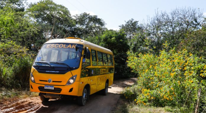 Curitiba renova frota com mais 95 ônibus Volvo